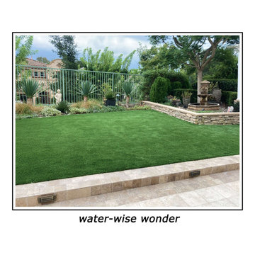 Rear Yards