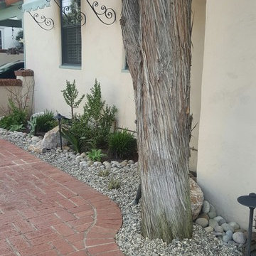 Patio after