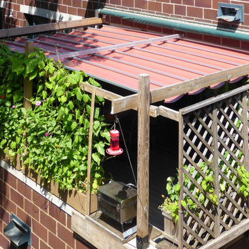 Retractable Canopy, Chicago