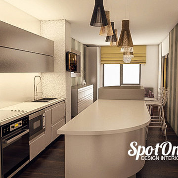 Apartament Ion Mihalache