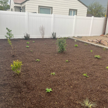 Rose Park's Talk of the Town (Renovated Yard)