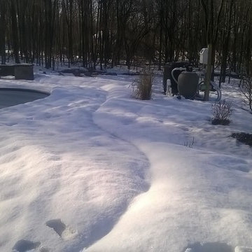 Pool Project with Diving Rock and Small Water Feature