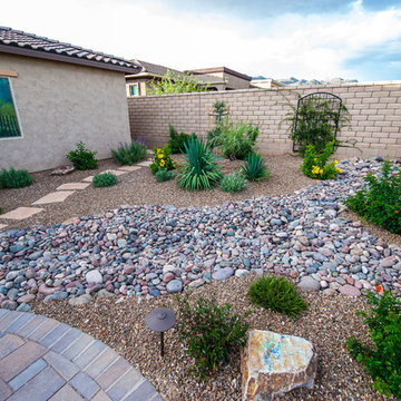 Curved Desert in Tucson
