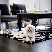 floors