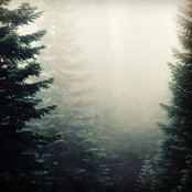 remykin's photo