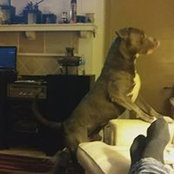 Brandon Ford's photo
