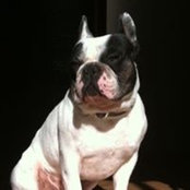 Samuel Castillo's photo