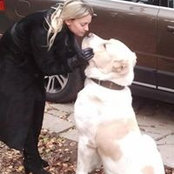 Alisa Plotkina's photo