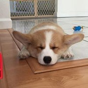 Dan Nguyen's photo