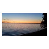 Brad Hamilton's photo