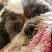 Tammy Nesvold's photo
