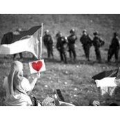 Safa'a Lubbad's photo