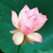 Georgianne Gaskill's photo