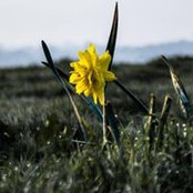 Jenny Williamson's photo