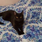 Amy Mcmurtrie's photo