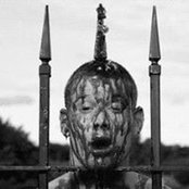 Ryan Mahoney's photo