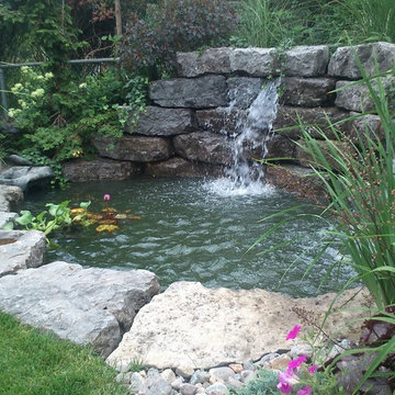 Water Feature