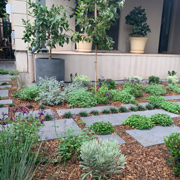 Norwood | Front Garden