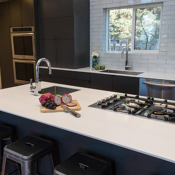 Salt Lake City Modern Kitchen