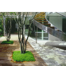 Summerveld Stairs
