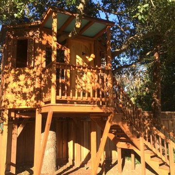 Redwood Temple Treehouse