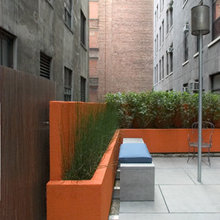 Backyard / Yard