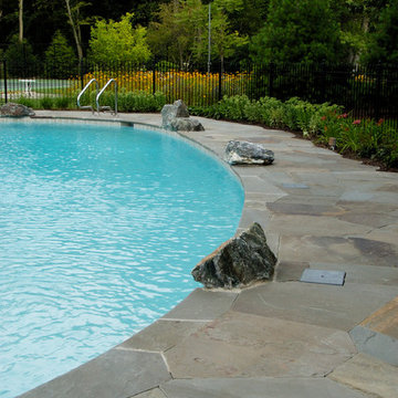 Glenview, IL Natural Swimming Pool and Raised Hot Tub