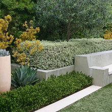 HEDGES OUTSIDE ROOMS