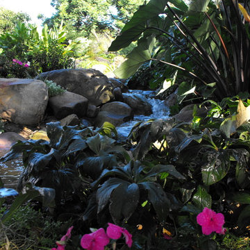 Living in Santa Barbara