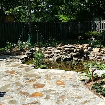 Natural Oasis