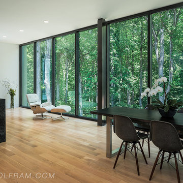 Modern Residential