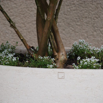 Impressions - Jardin