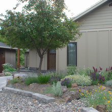 Back Patio Idea