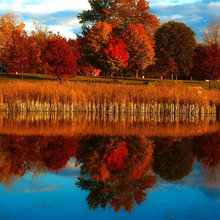 Scenic pictures