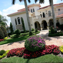 Front yard