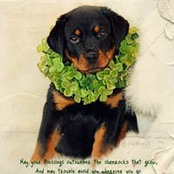 Pauline Karalia's photo