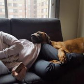 Benjamin Ridgebacks foto