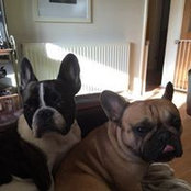 Simone Mills's photo