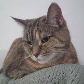 Vanessa Logan's photo