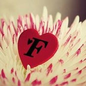 Fatma Anwar's photo