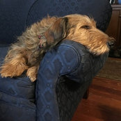 C. Boodman's photo