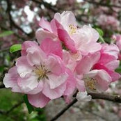 Nicola Ward's photo