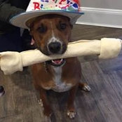 Teddy Johnson's photo