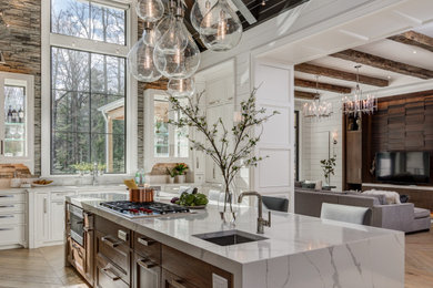 Kitchen - transitional kitchen idea in Other