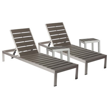 2 Joseph Lounger and 2 Side Table, Gray