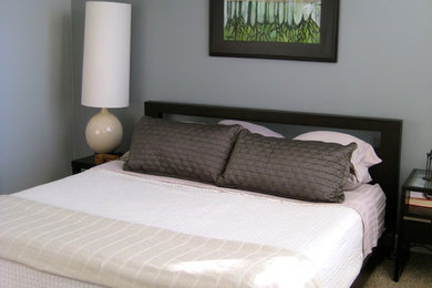 Inspiration for a large contemporary master carpeted bedroom remodel in Chicago with gray walls and no fireplace