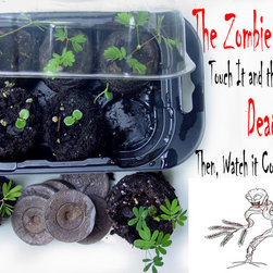 ZOMBIE PLANT GROW KIT - Products