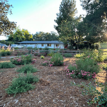 Encinitas Pollinator Garden