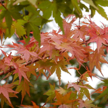 愛知県の山奥にある築150年の古民家をリノベーション