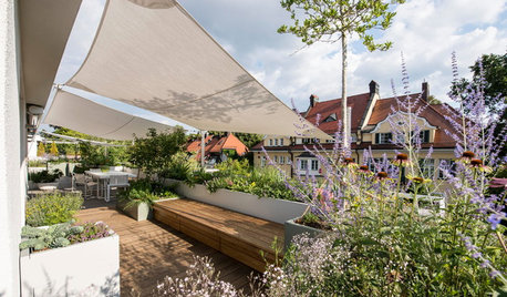 ¿Cómo deberían evolucionar las zonas verdes de las ciudades?